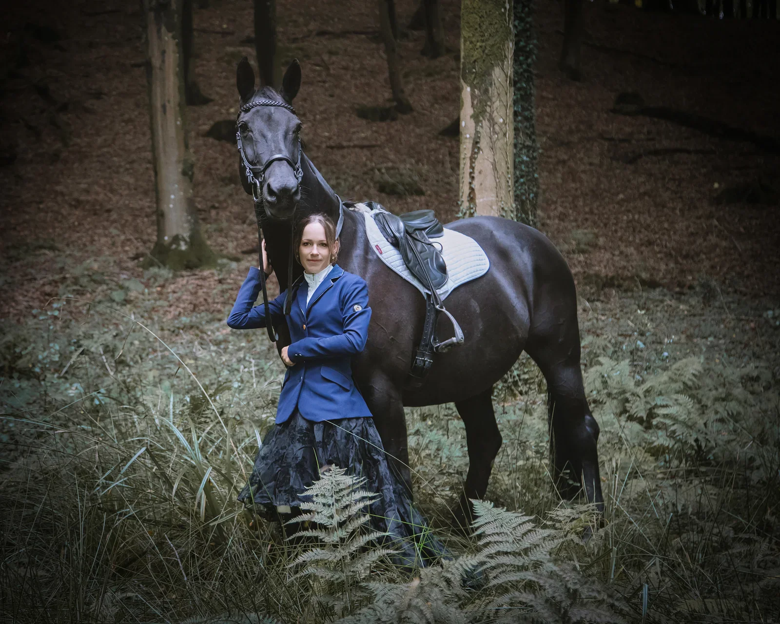 Equine Portraits by Matt Curtis Photography