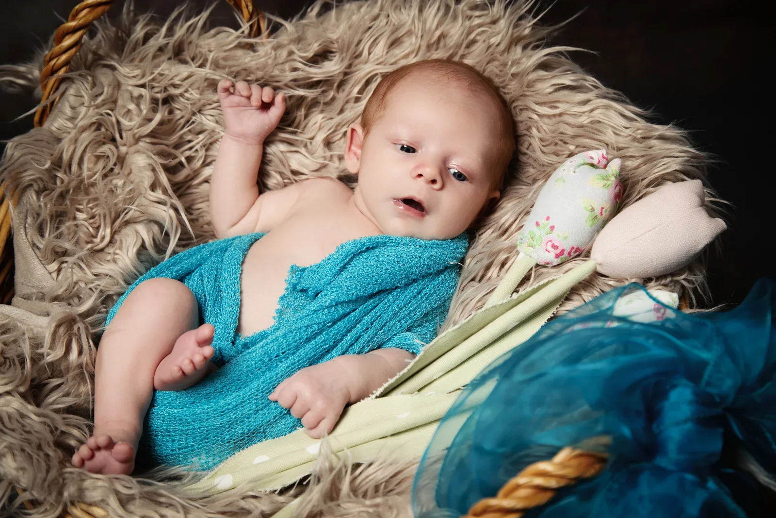 Newborn baby portrait photographed by Matt Curtis in Warminster, Wiltshire