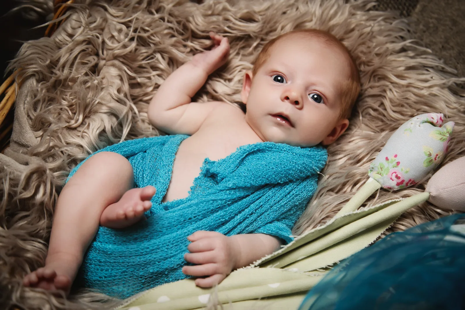 Newborn baby portrait photographed by Matt Curtis in Warminster, Wiltshire